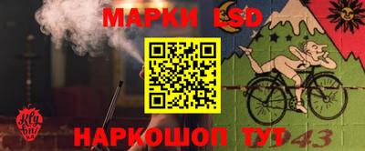 молекула духа Боровичи