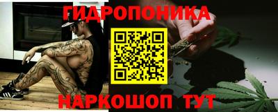 молекула духа Боровичи