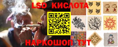 молекула духа Боровичи