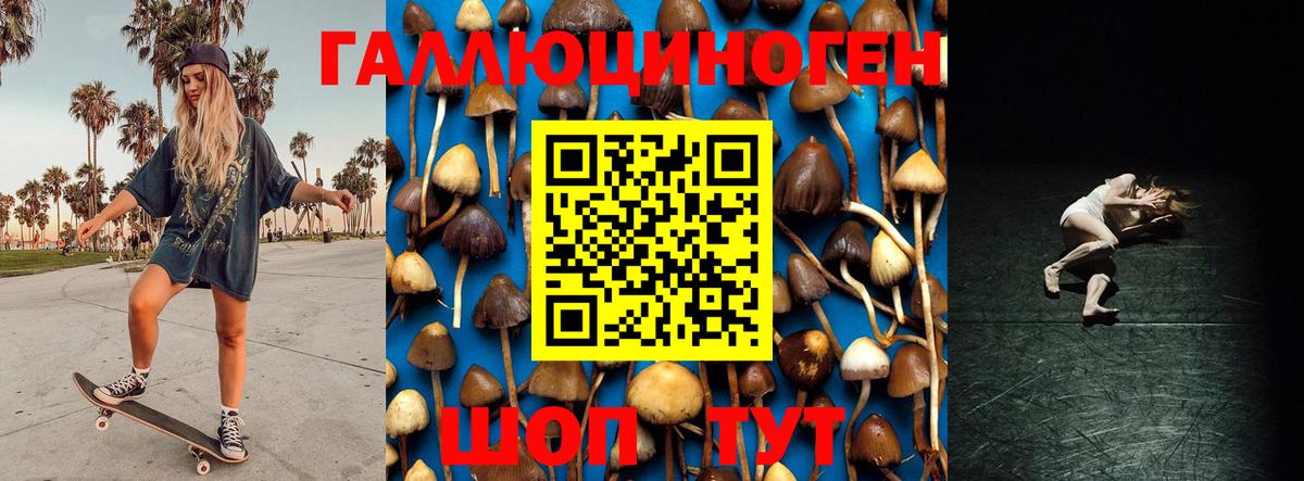 Королёв  Галлюциногенные грибы прущие грибы  Вход с VPN 