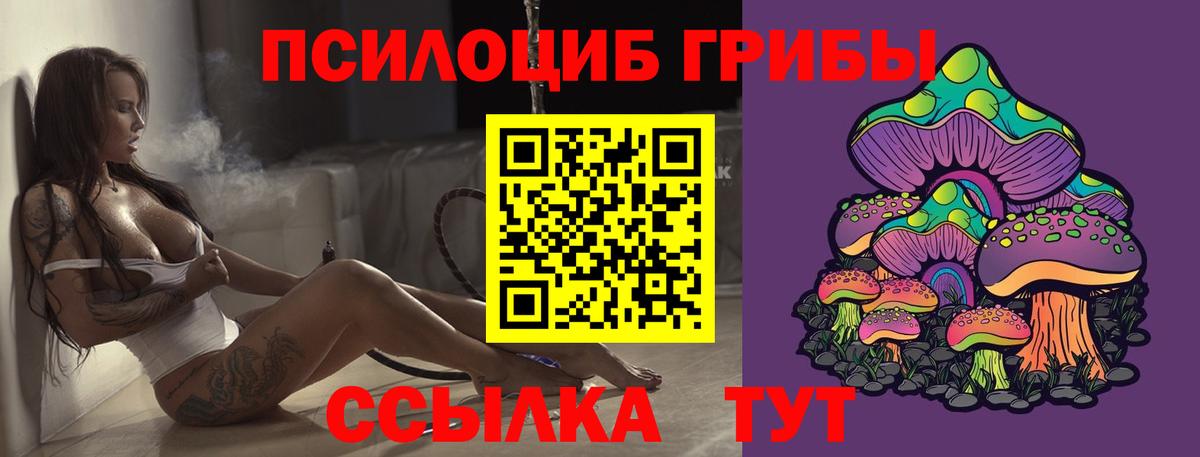 Галлюциногенные грибы прущие грибы Королёв